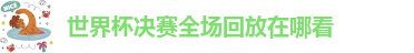 世界杯决赛全场回放在哪看